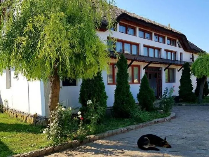 Casa cu flori Murighiol-1